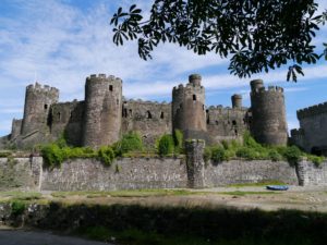 conwy castle (2)