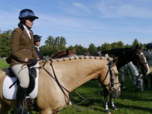 horse trials (8)